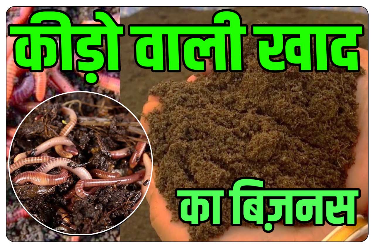 Vermicompost Business Plan Quick Tips – Vermicompost Business शुरू करने की साधारण जानकारी