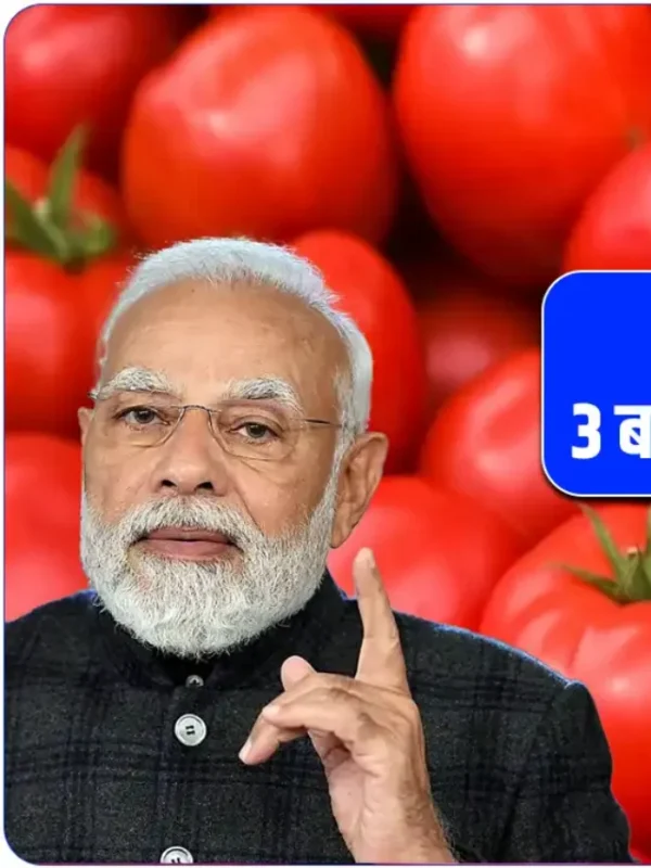 tomato price hike reason in hindi