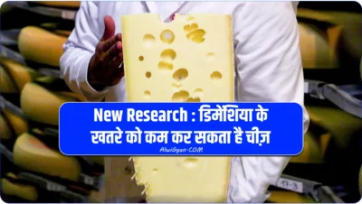according to studies cheese can help people to avoid dementia